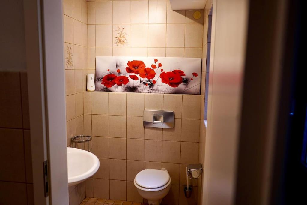 Helle Kellerwohnung Im Gruenen Mit Sauna Köln Eksteriør bilde